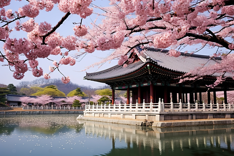 تور انفرادی کره جنوبی 